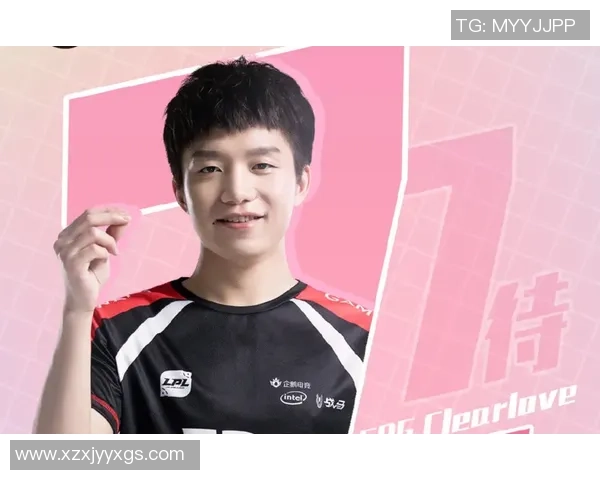 EDG职业联赛技术表现分析与未来发展展望