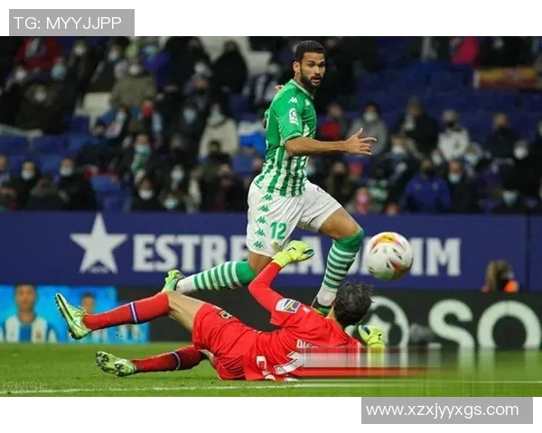 哈马比与天狼星激战正酣谁能在这场较量中笑到最后